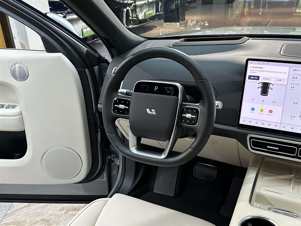 Li Auto L9, 2024 11