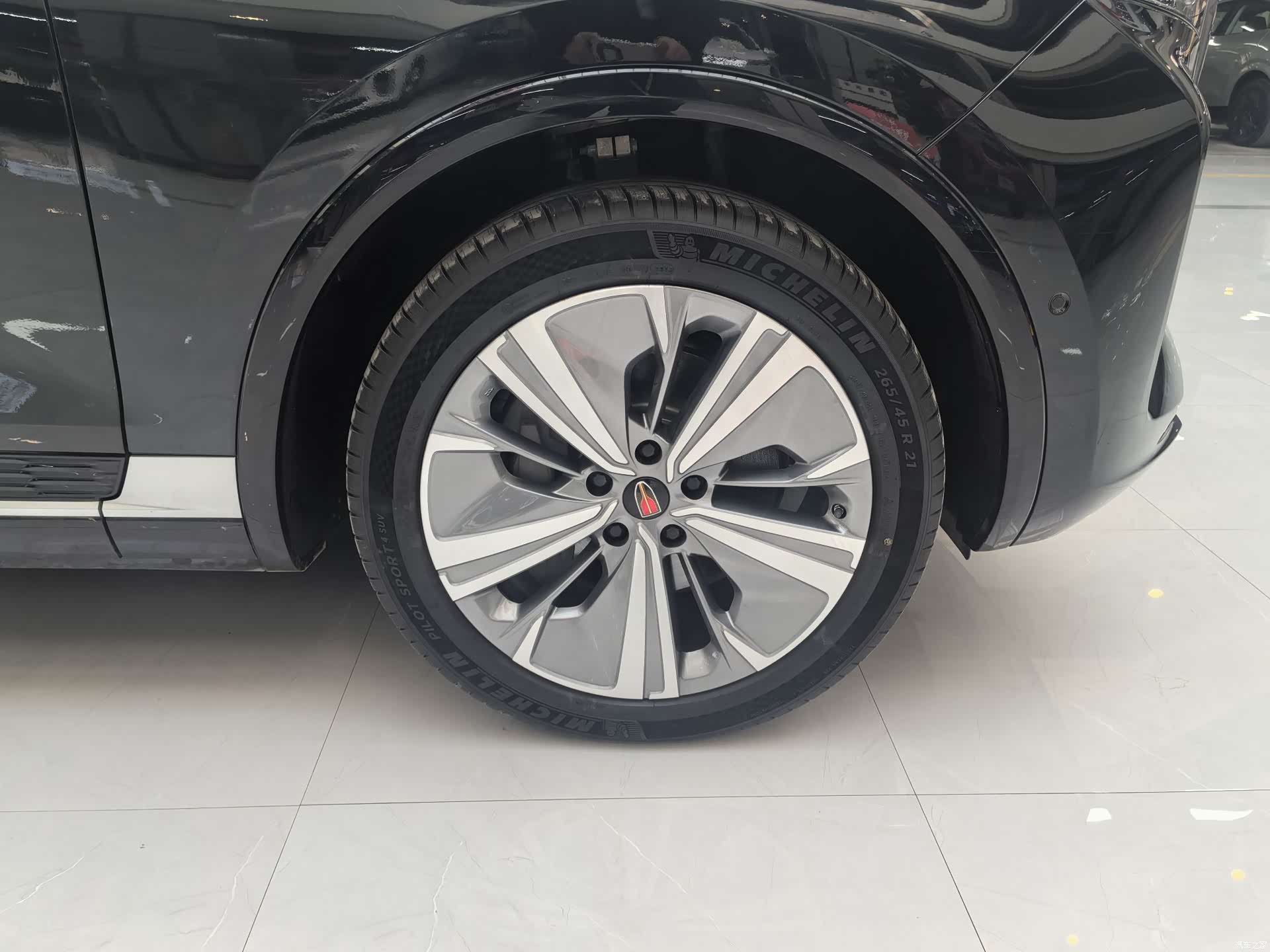 Hongqi E-HS9, 2023 9