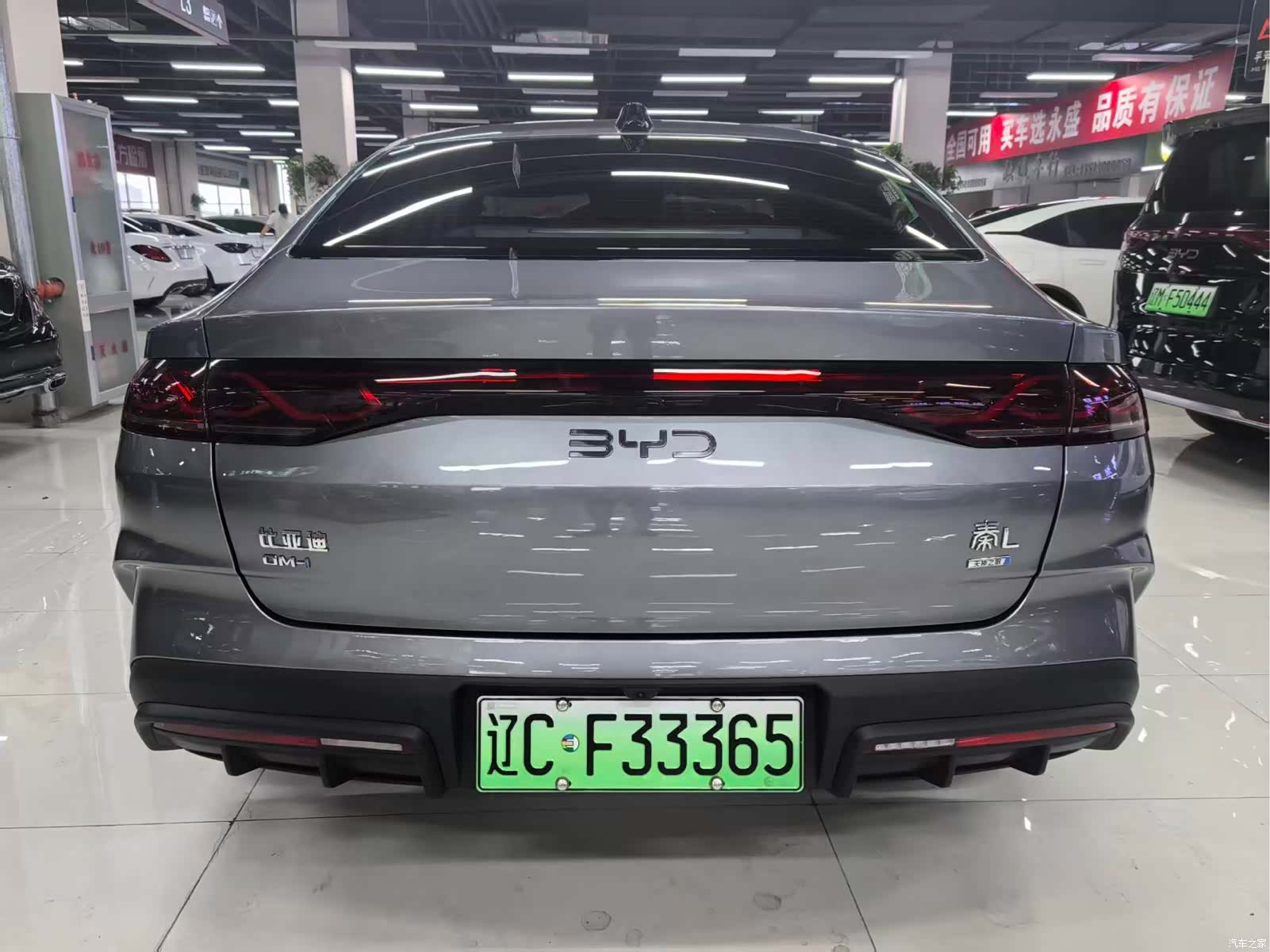 BYD Qin, 2025 все фото