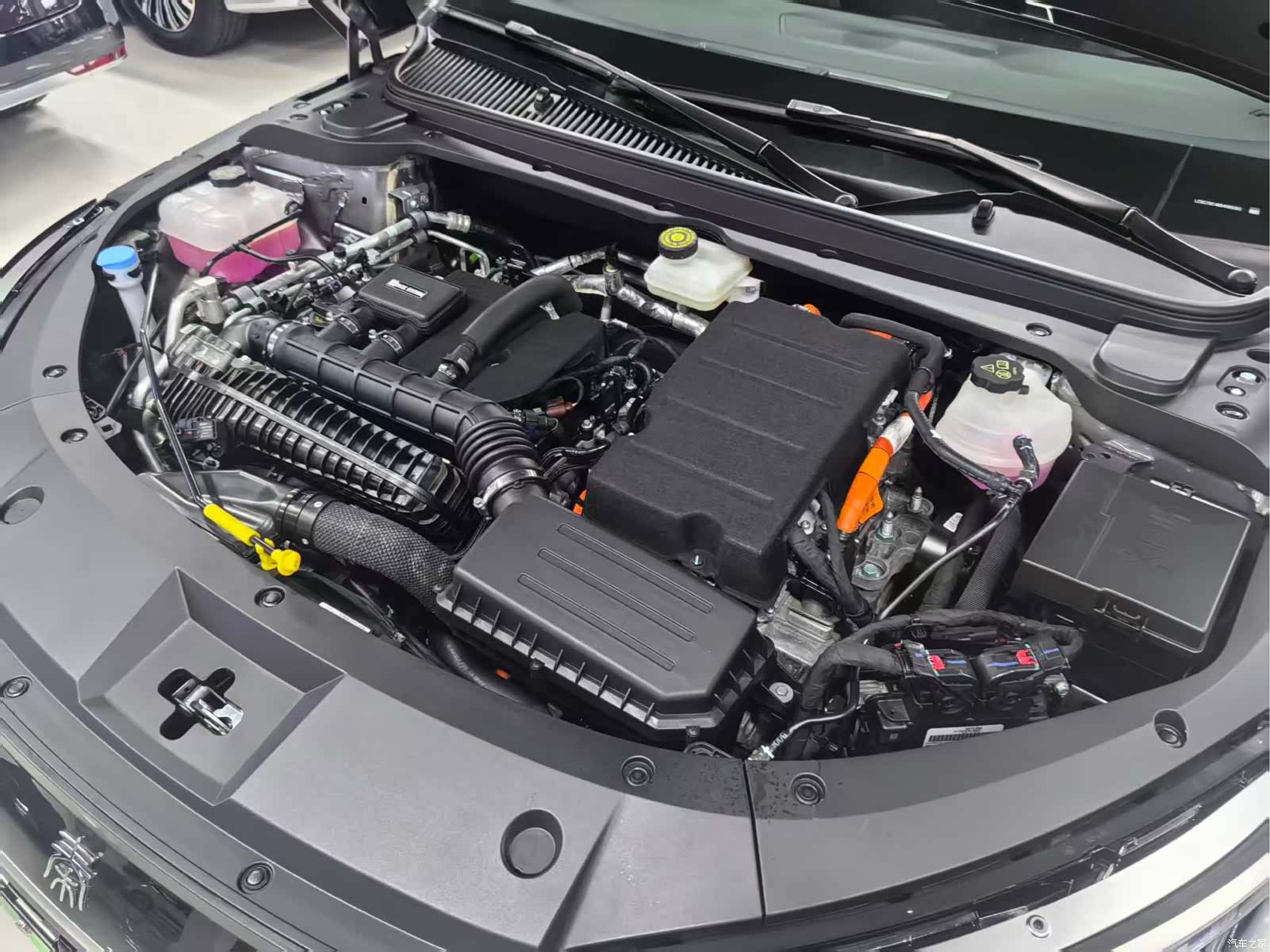 BYD Qin, 2025 21