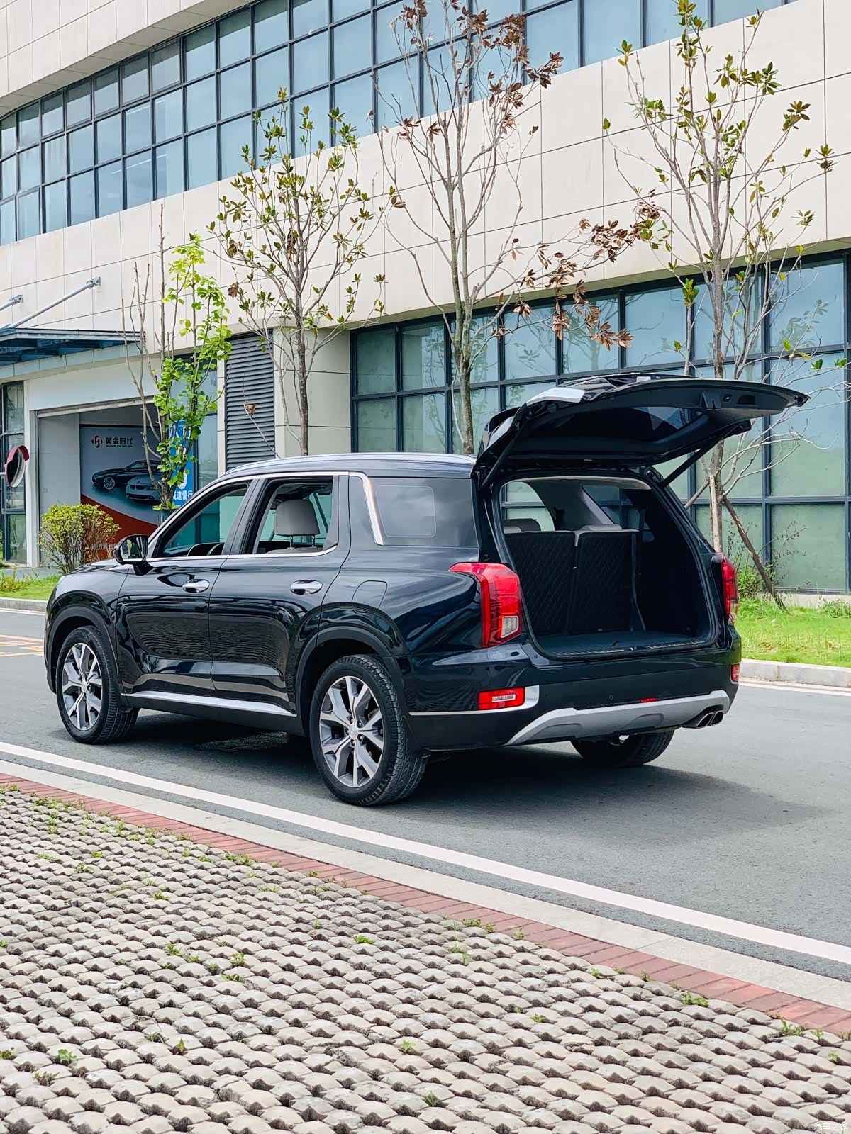Hyundai Palisade, 2021 12