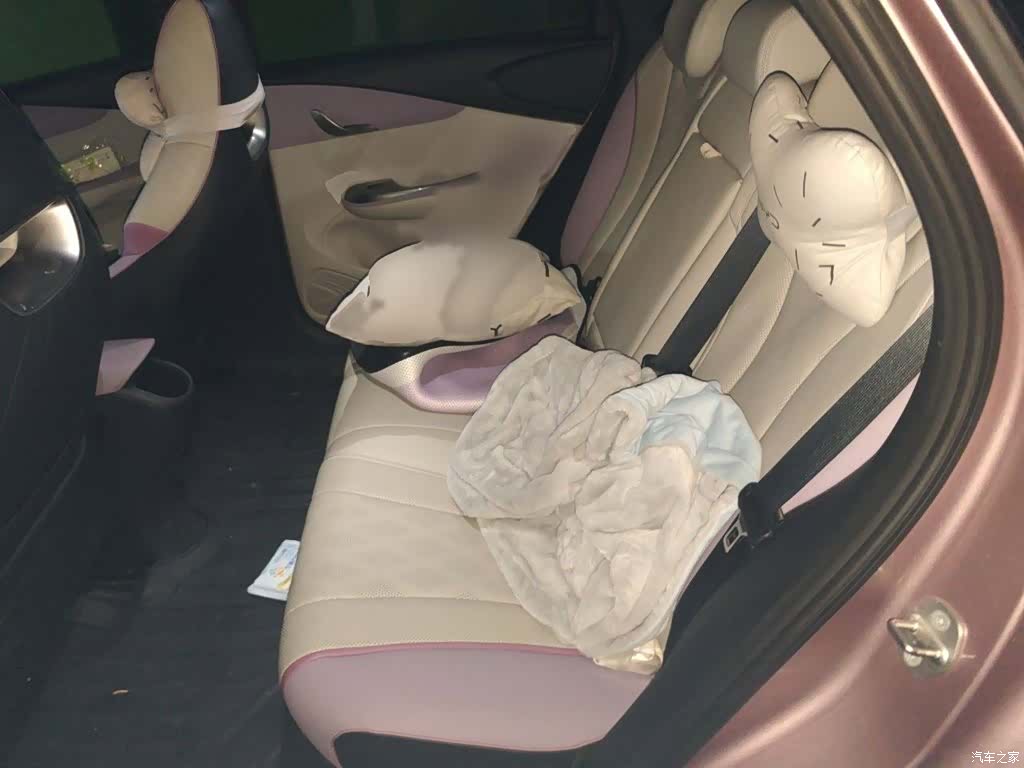 BYD Dolphin, 2023 15