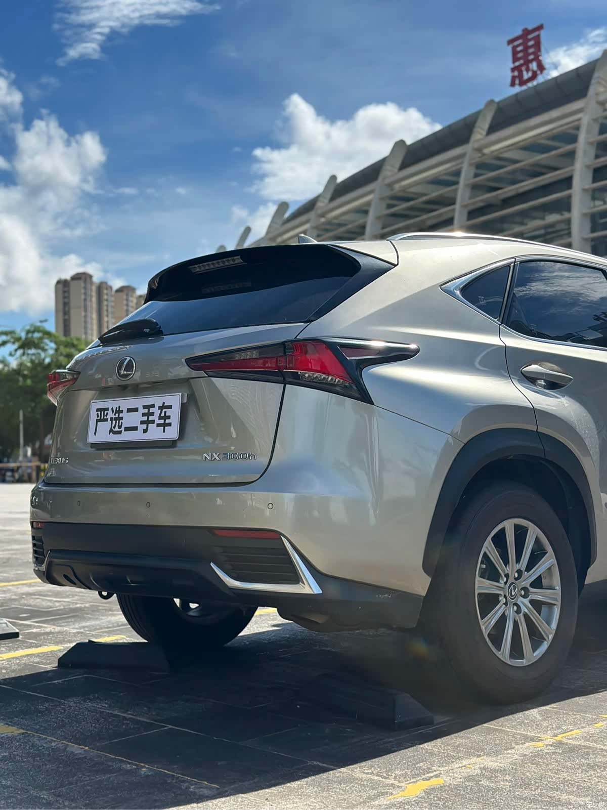 Lexus NX, 2018 12