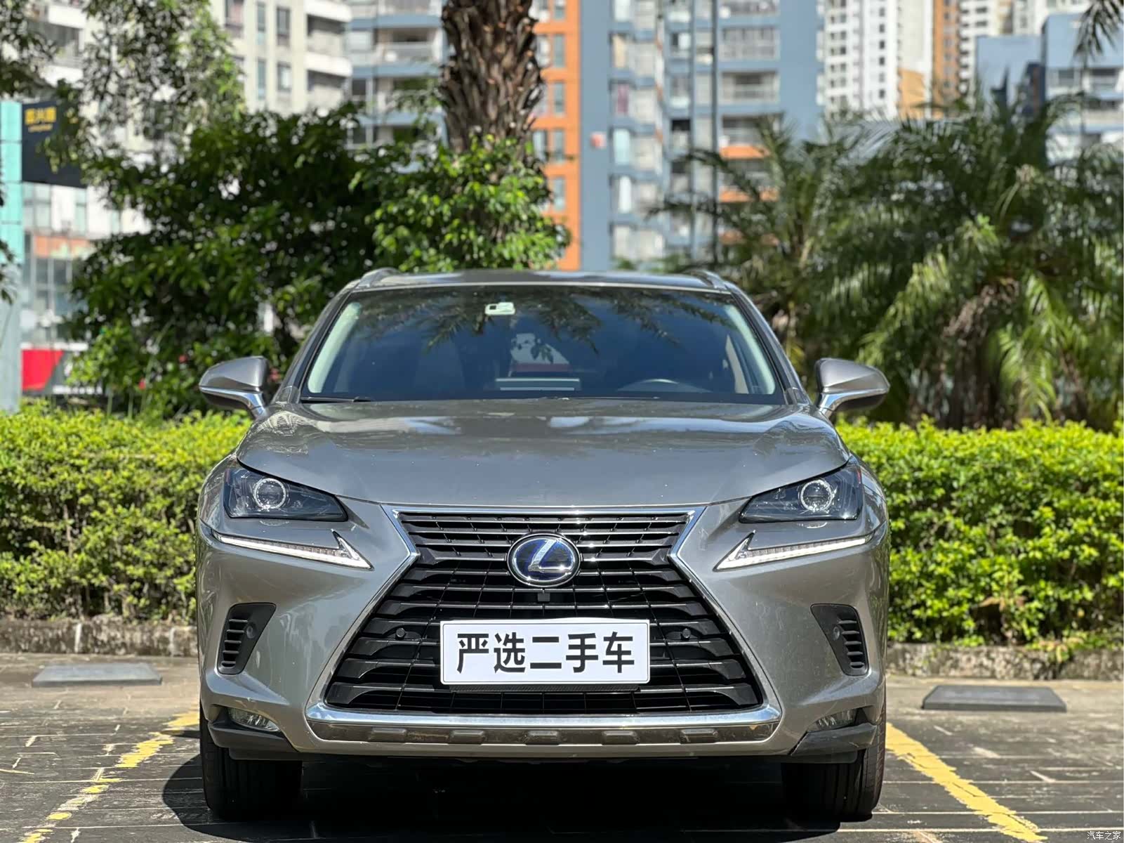 Lexus NX, 2018 2