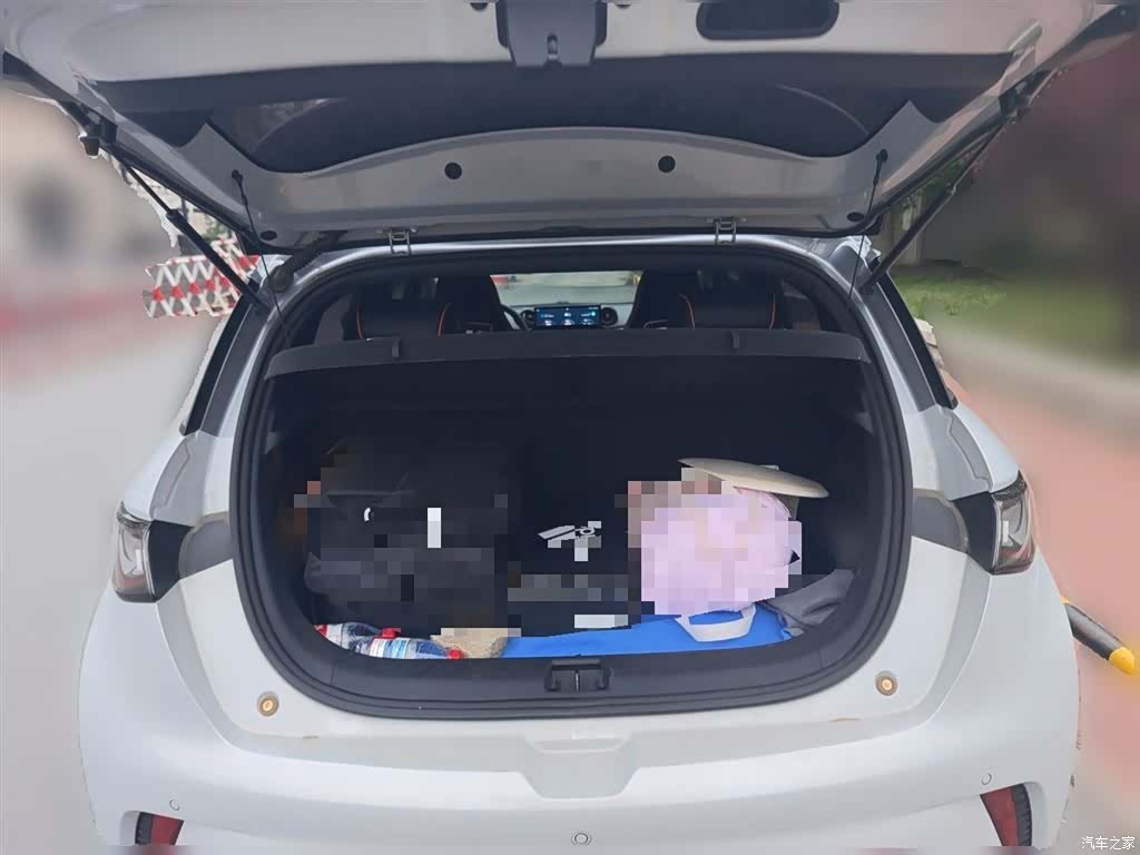 BYD Dolphin, 2021 10