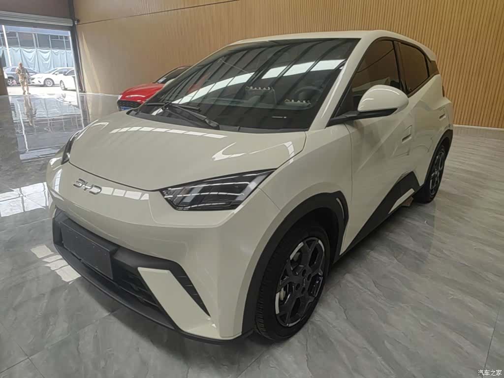 BYD Seagull, 2025 2