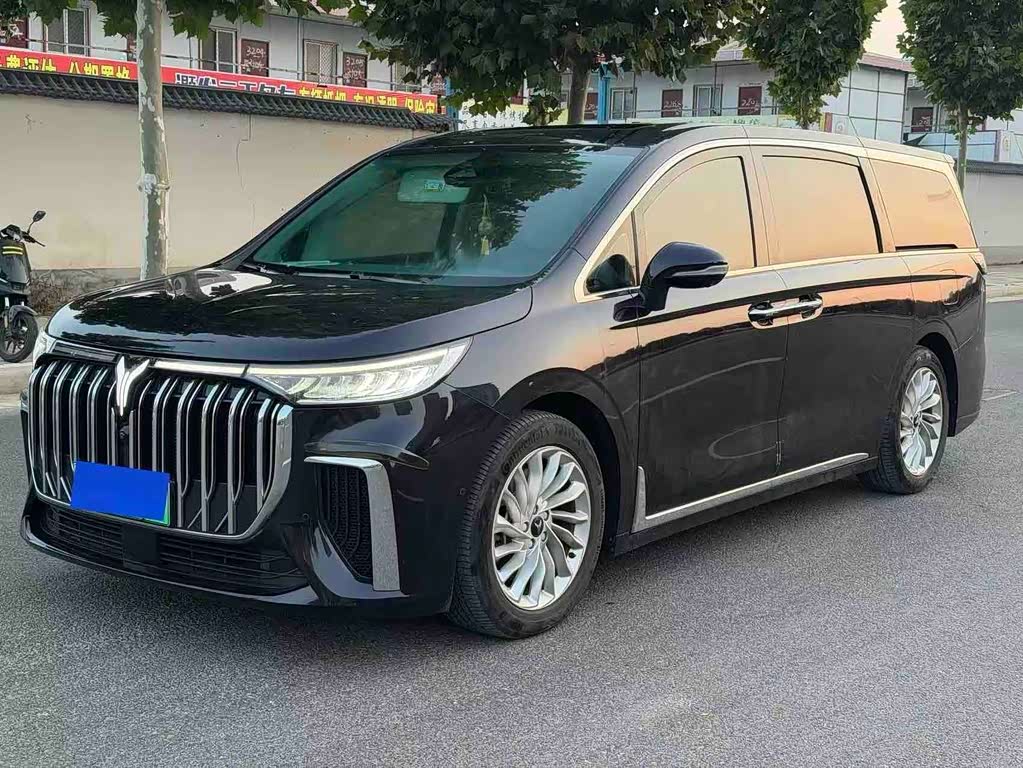 Voyah 2024 PHEV Luxury