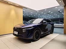 ������V 2021�� 260T ������