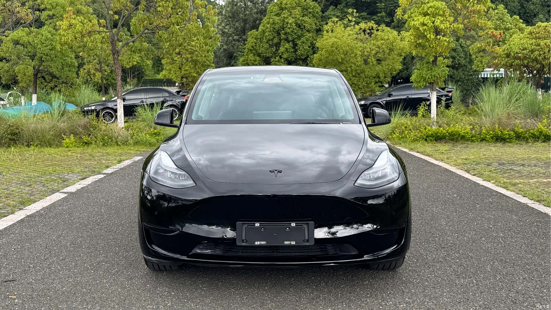 Tesla Model Y, 2022 все фото