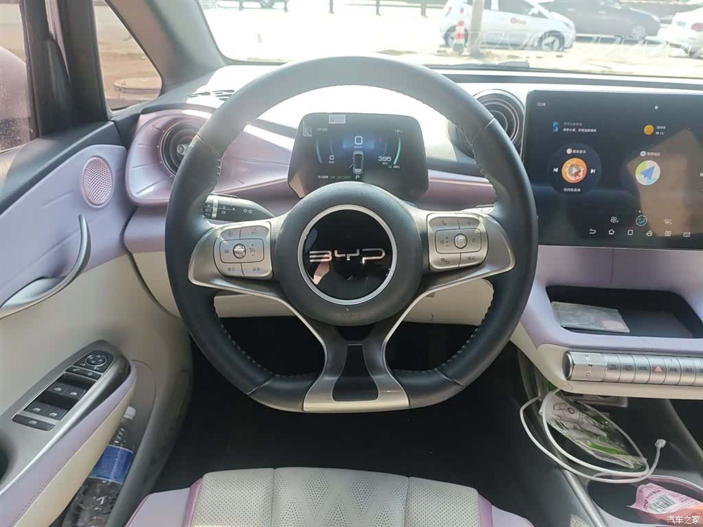 BYD Dolphin, 2023 7