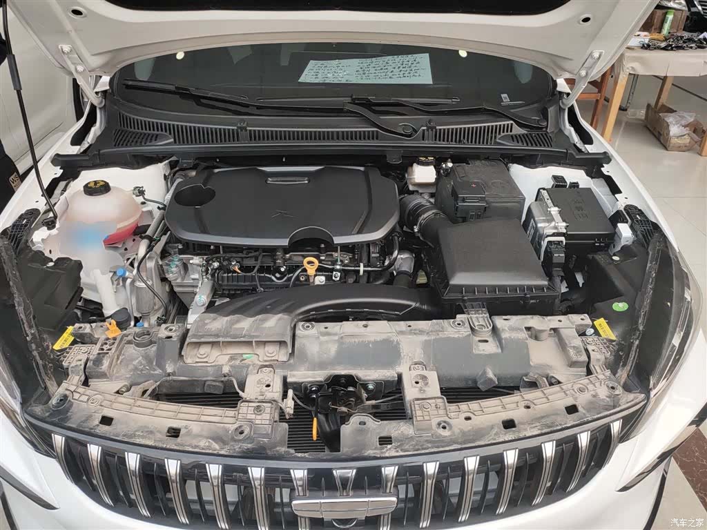 Geely Binray, 2024 20