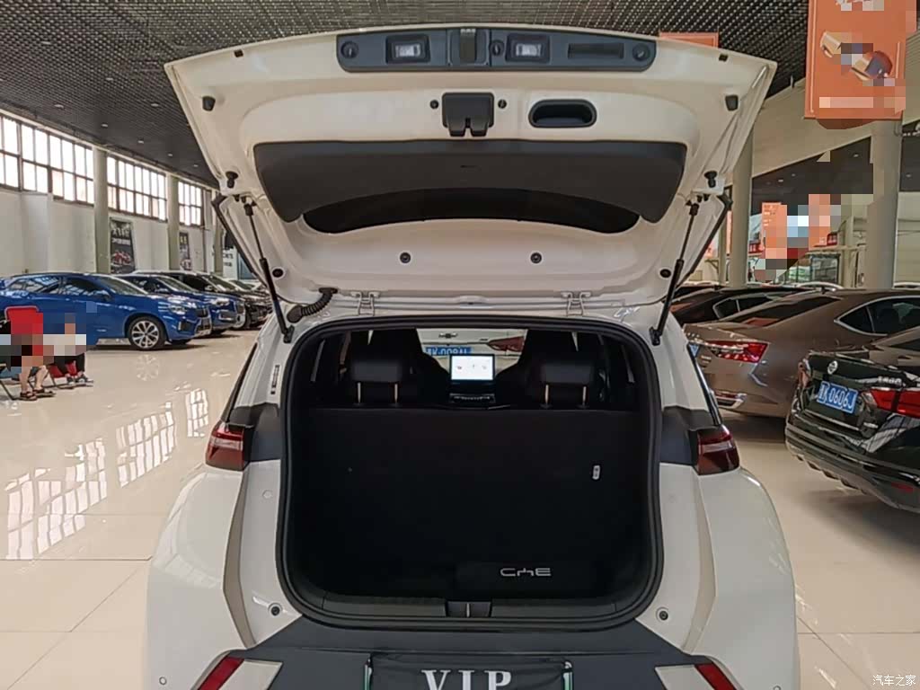 BYD Seagull, 2024 19