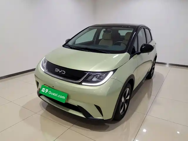 BYD Dolphin 2026 — купить из Китая под заказ