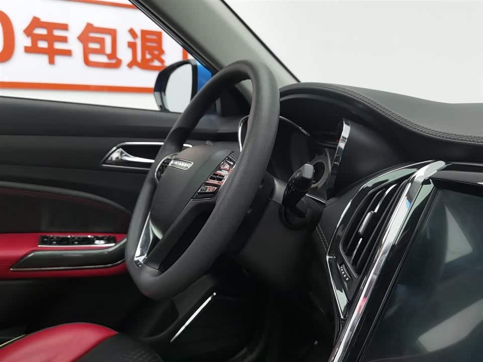 Leopaard Cheetah CS9