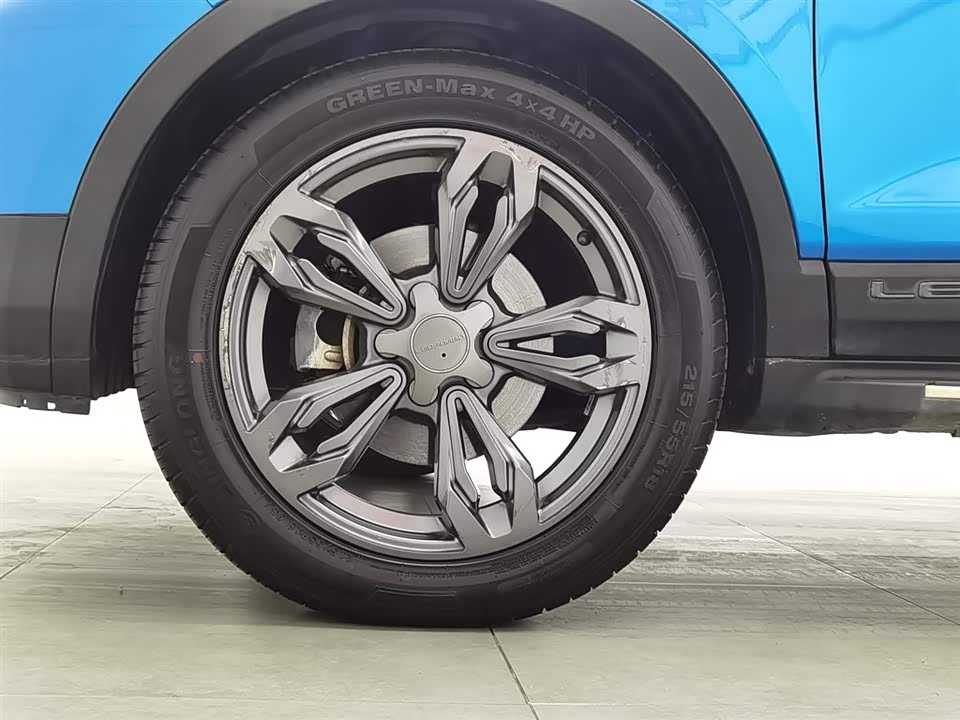 Leopaard Cheetah CS9