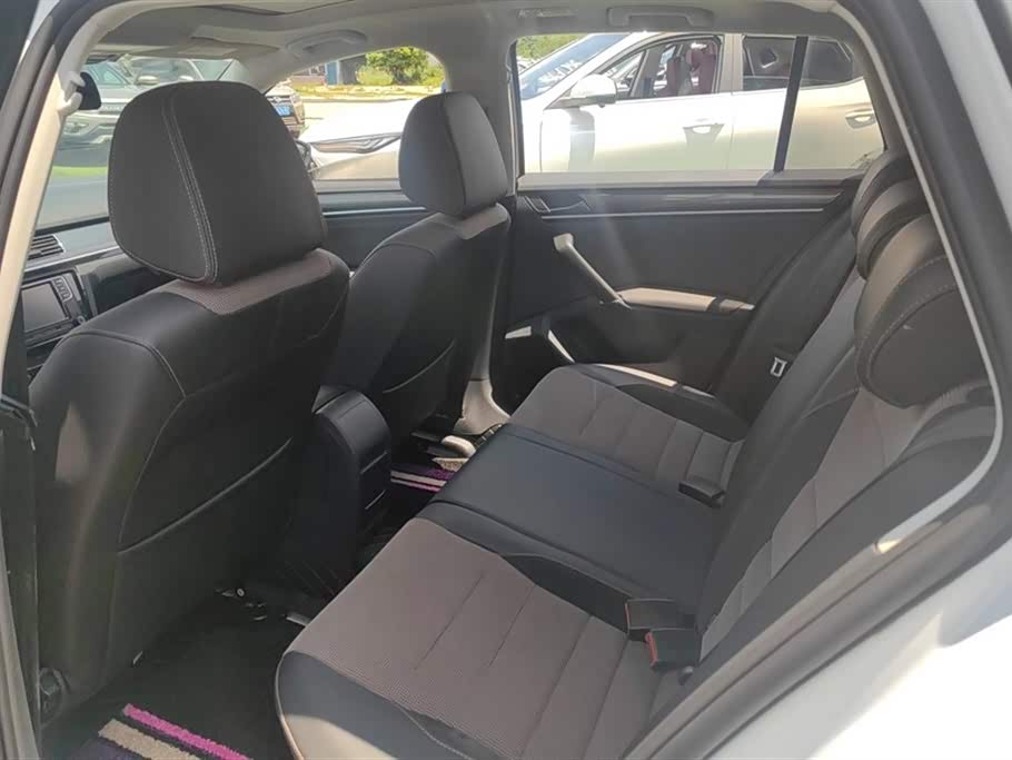 Volkswagen C-TREK Wei Collar