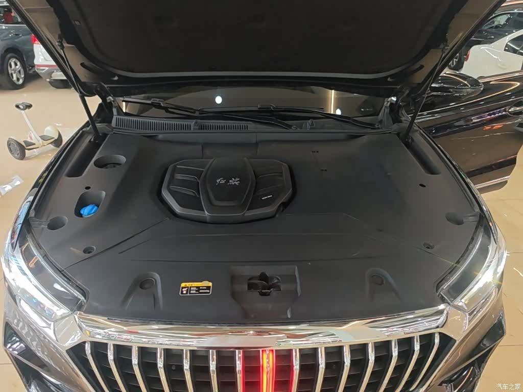 Hongqi HS5, 2020 20
