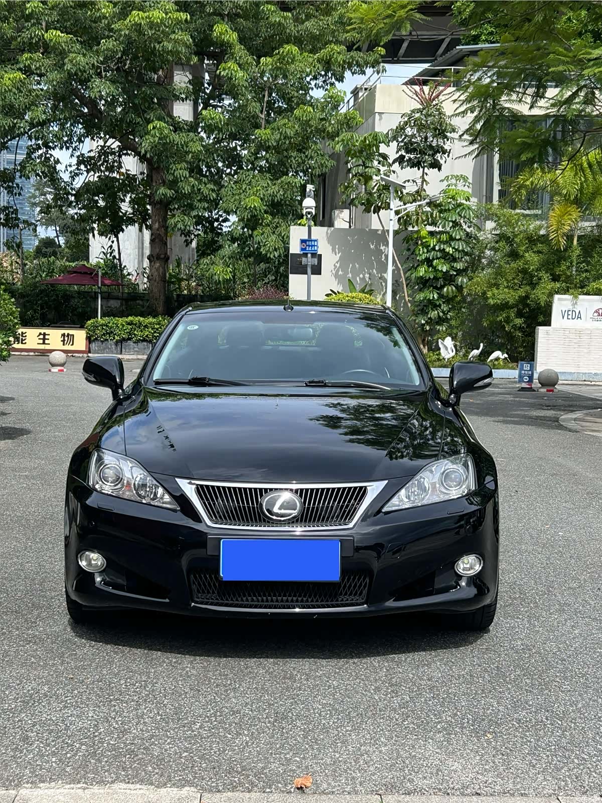 Lexus IS, 2010 3