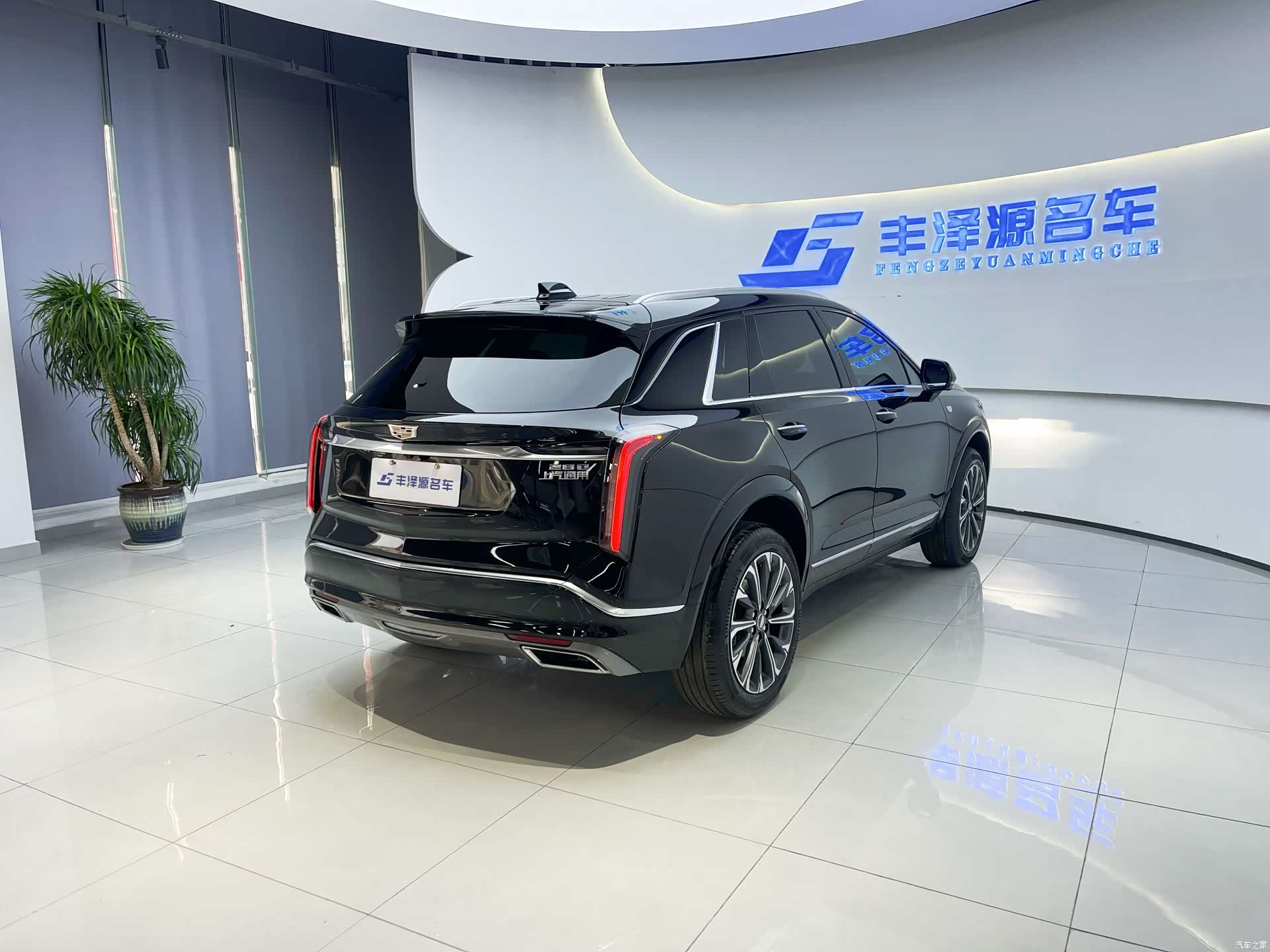 Cadillac XT5, 2025 все фото