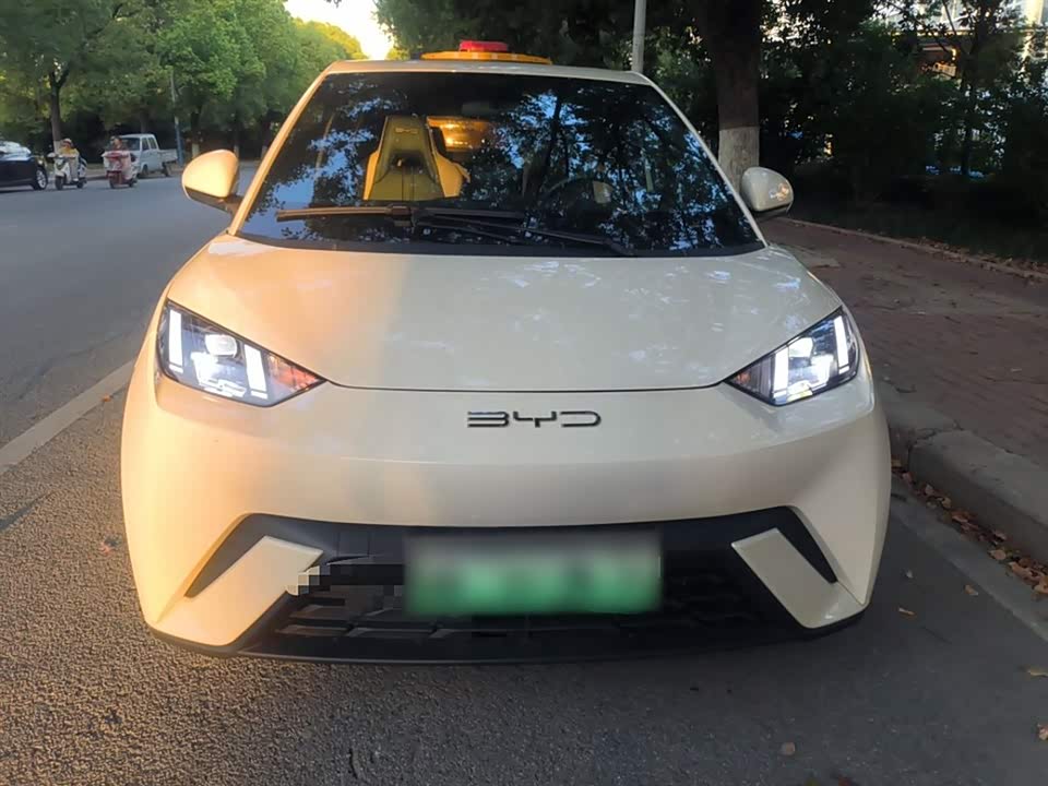 BYD Seagull