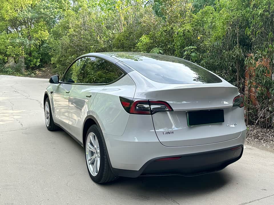 Tesla Model Y Tesla Model Y