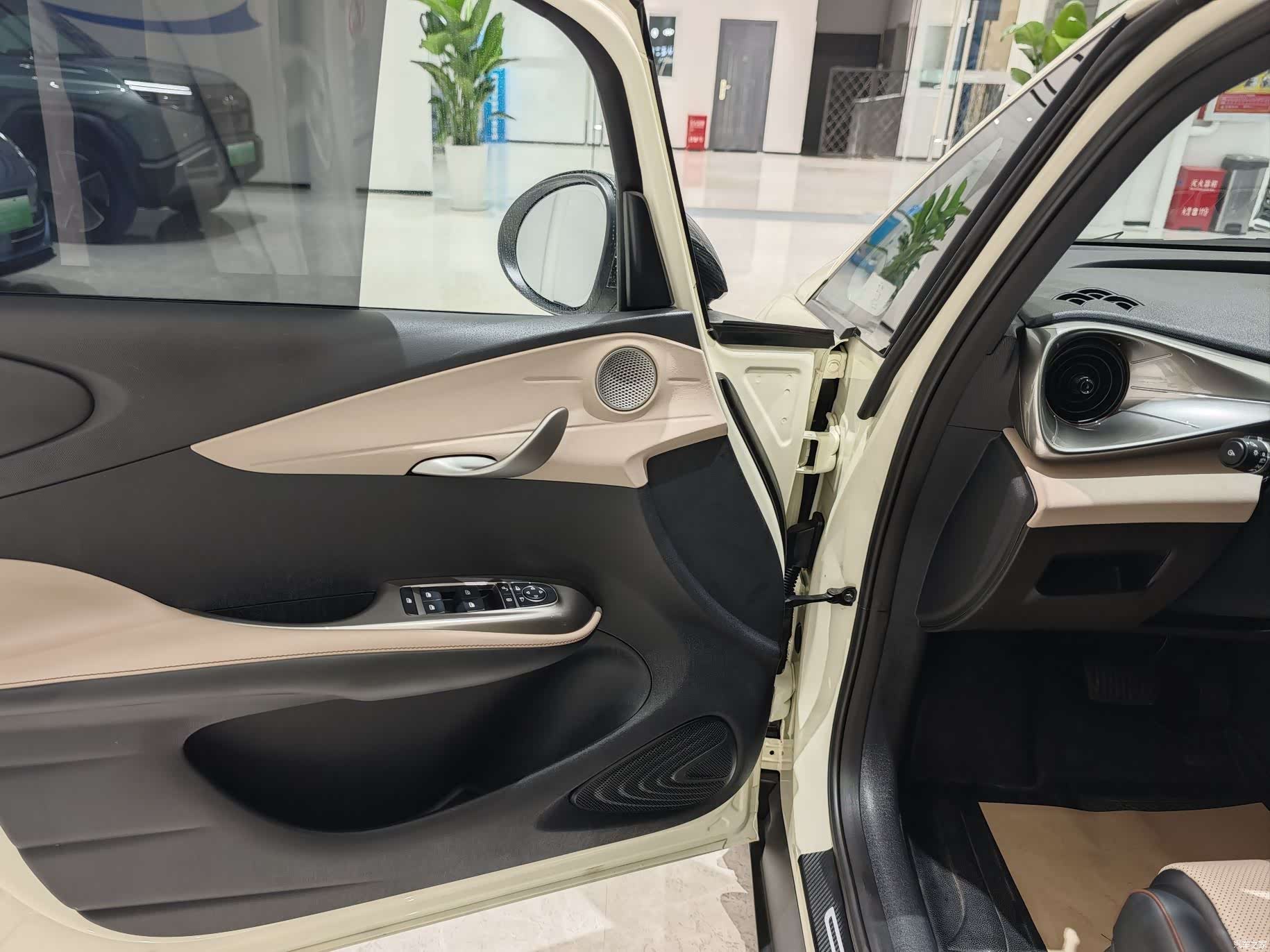BYD Dolphin, 2023 4