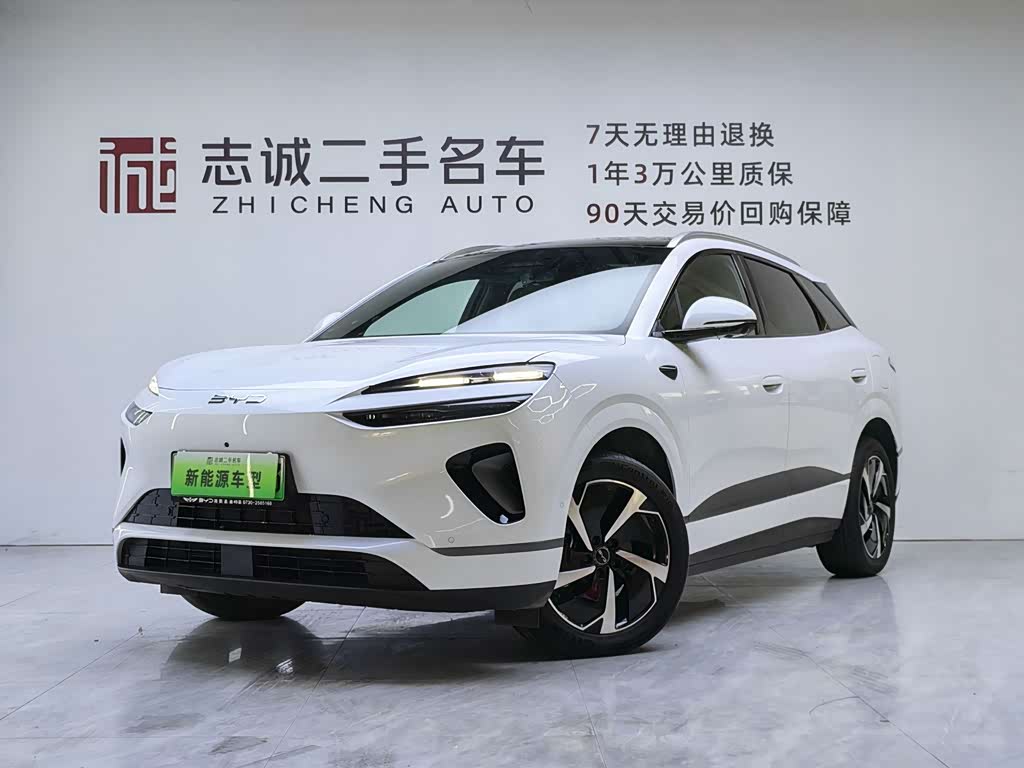 BYD Sea Lion 06