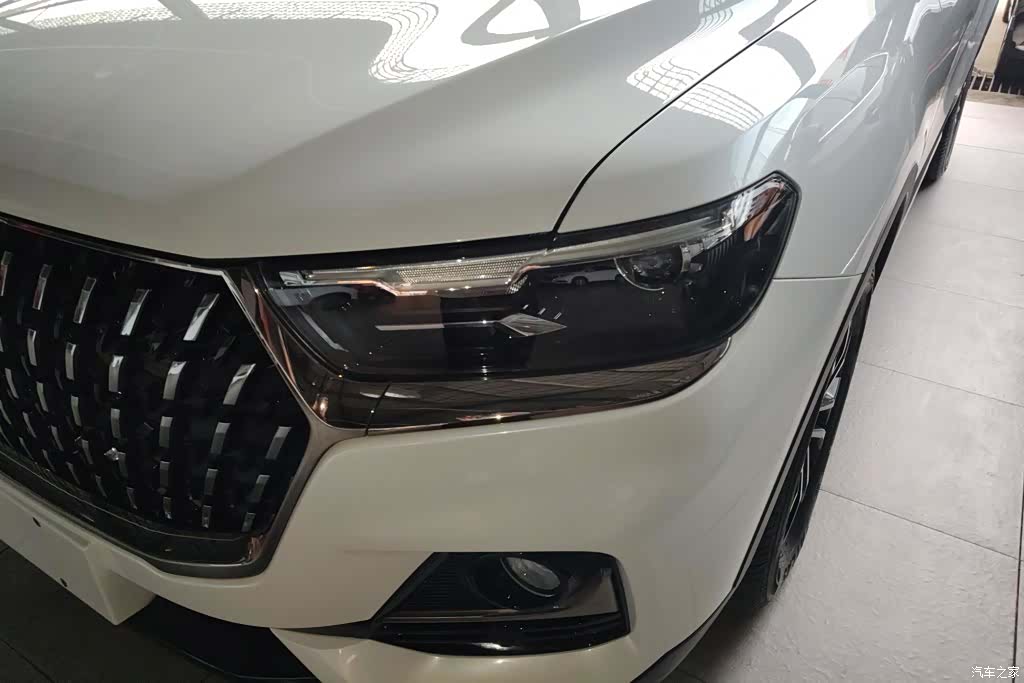 Haval H6, 2023 все фото