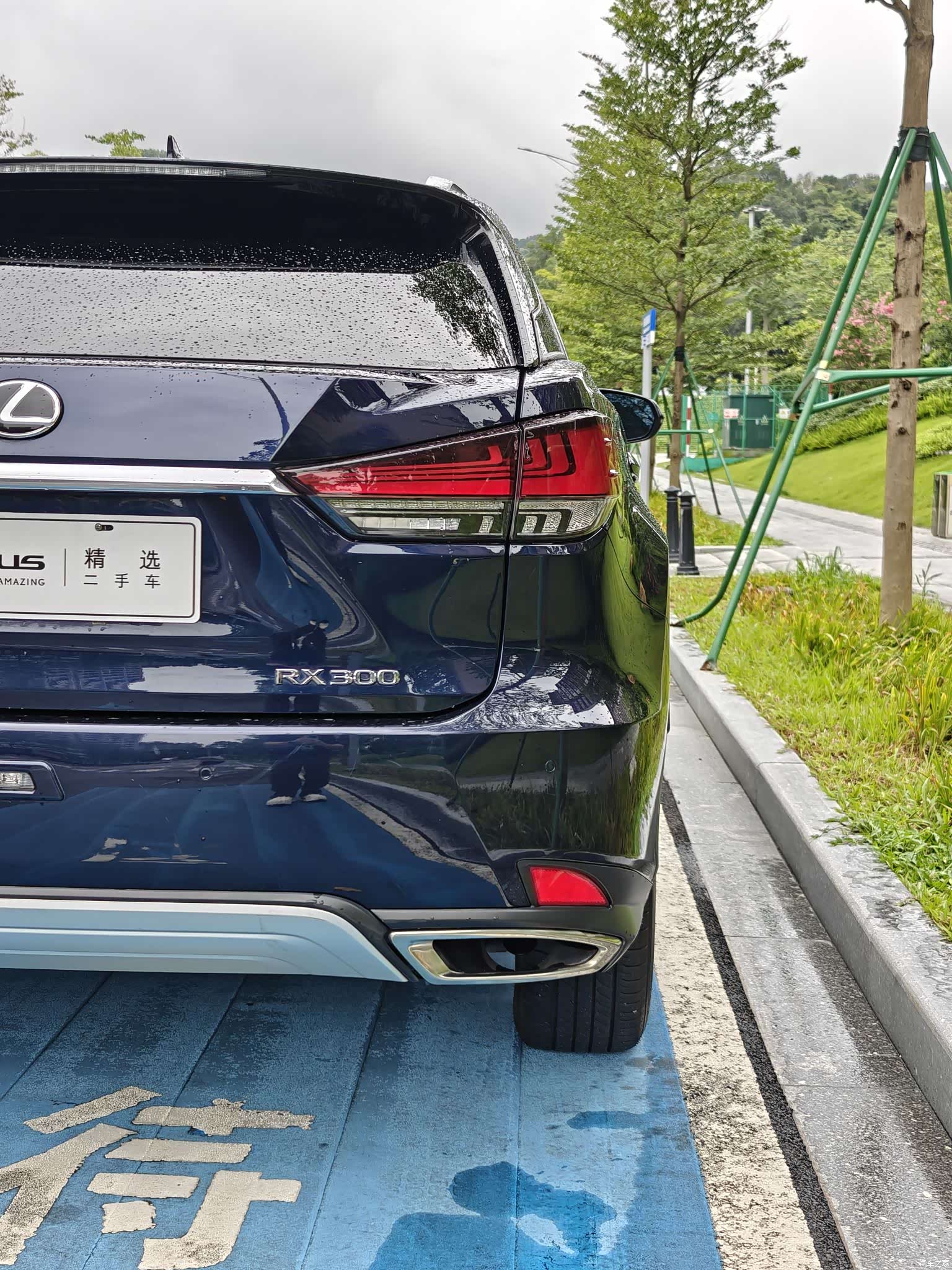 Lexus RX, 2022 20
