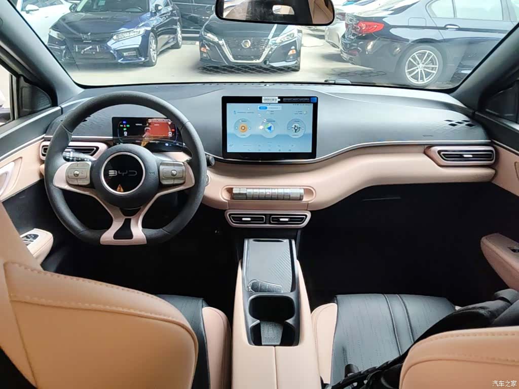 BYD Seagull, 2024 10