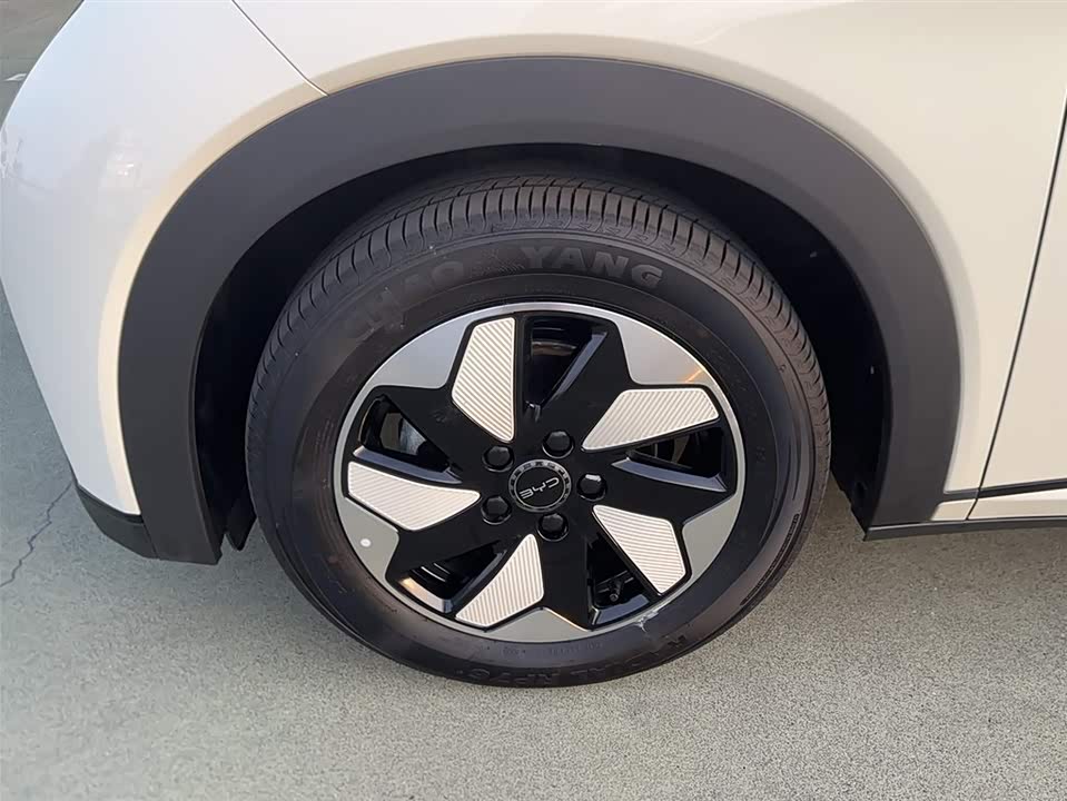 BYD dolphin BYD dolphin