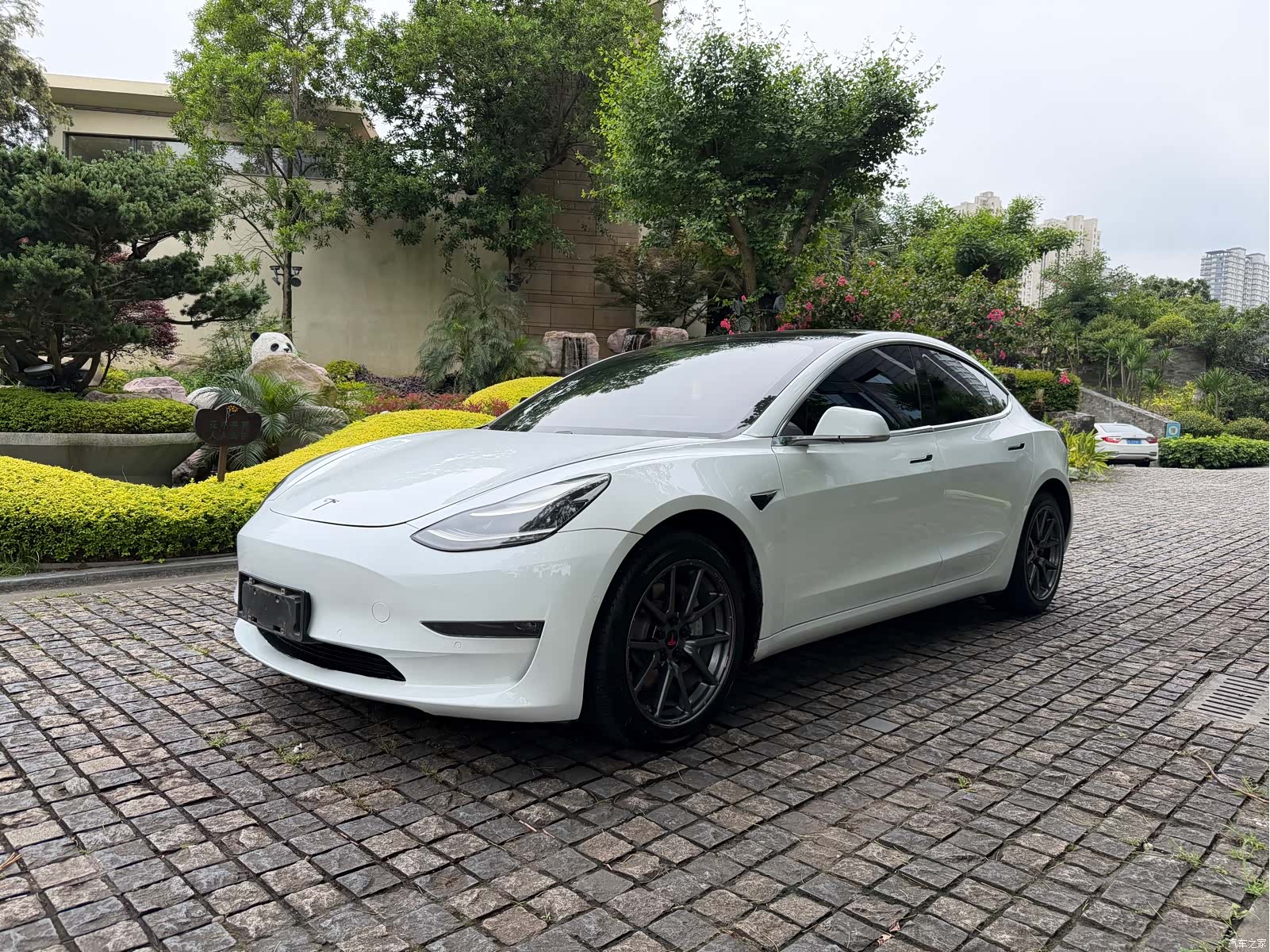 Tesla Model 3, 2019 1