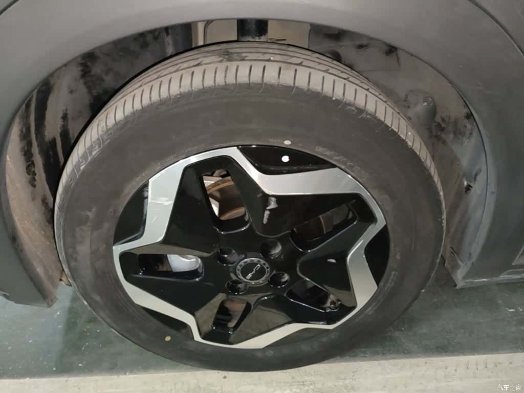 BYD Dolphin, 2023 23