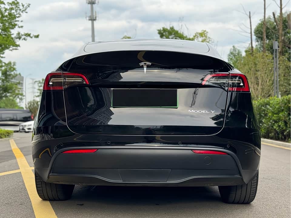 Tesla Model Y Tesla Model Y