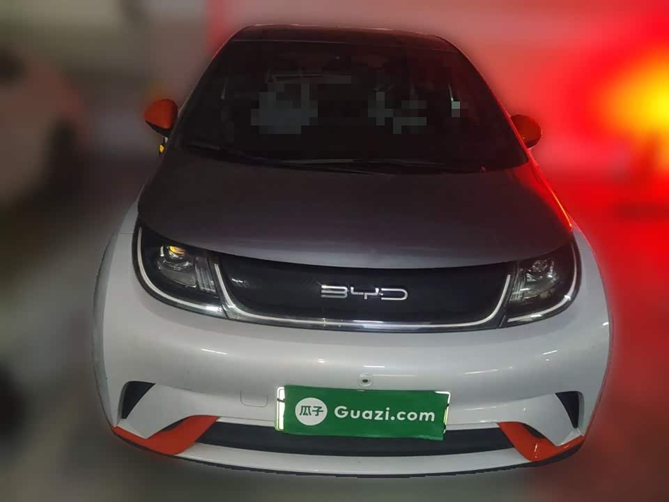 BYD dolphin
