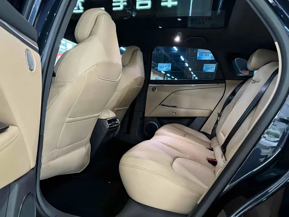 ARCFOX Polar Fox Alpha T5