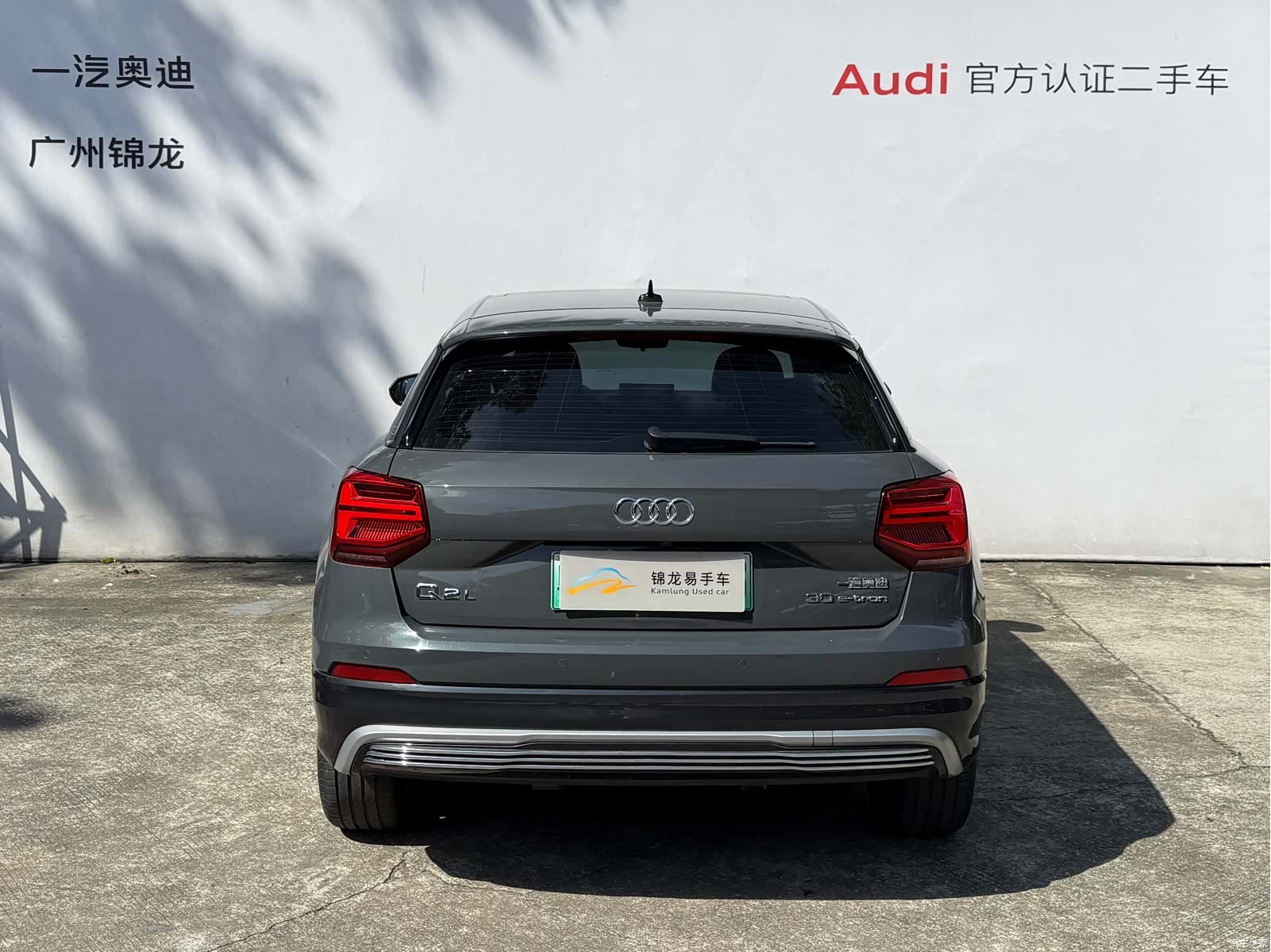 Audi e-tron, 2020 4
