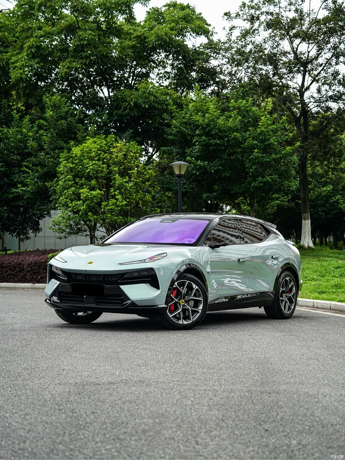Lotus FOR