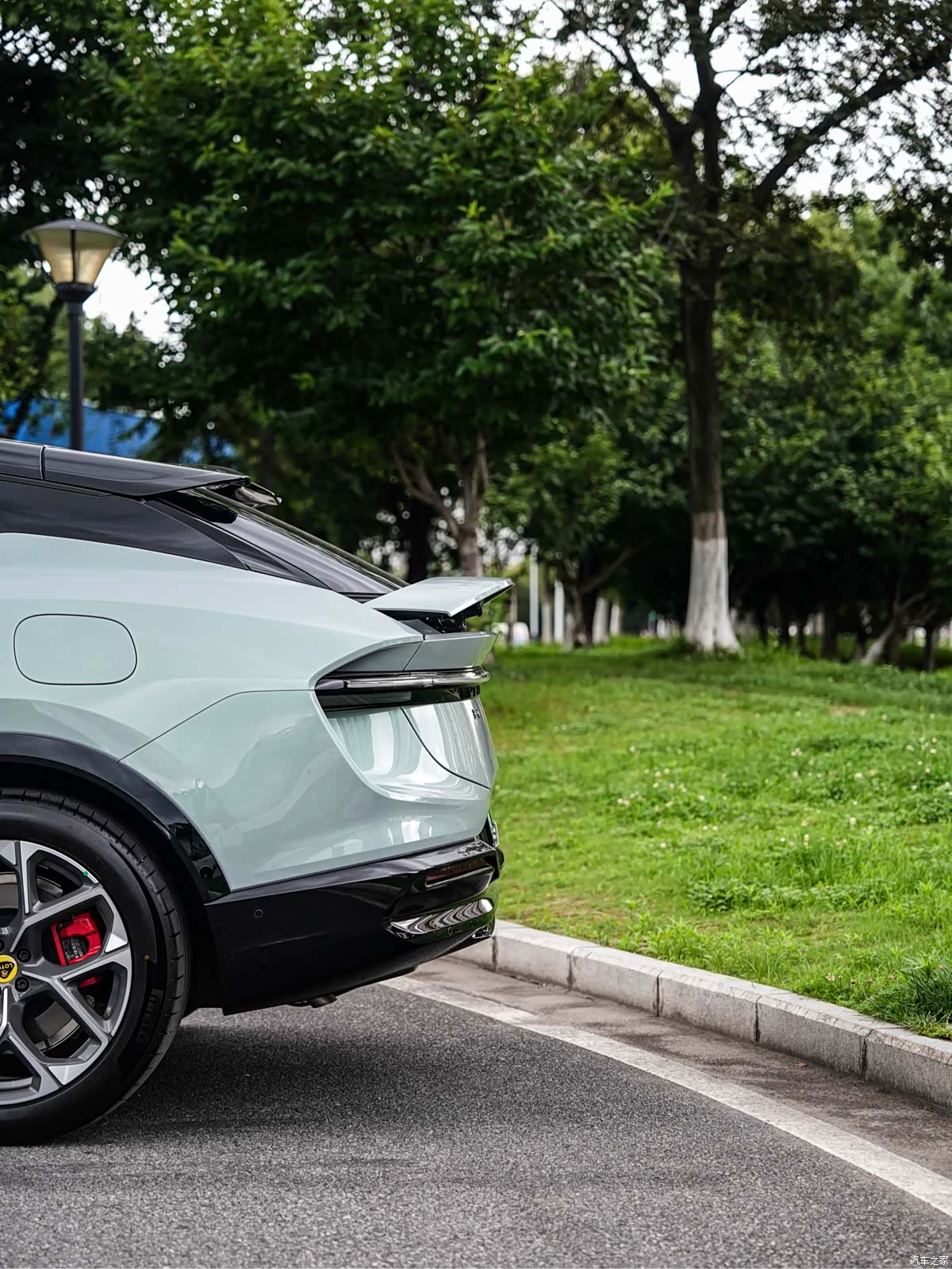 Lotus FOR, 2026 7