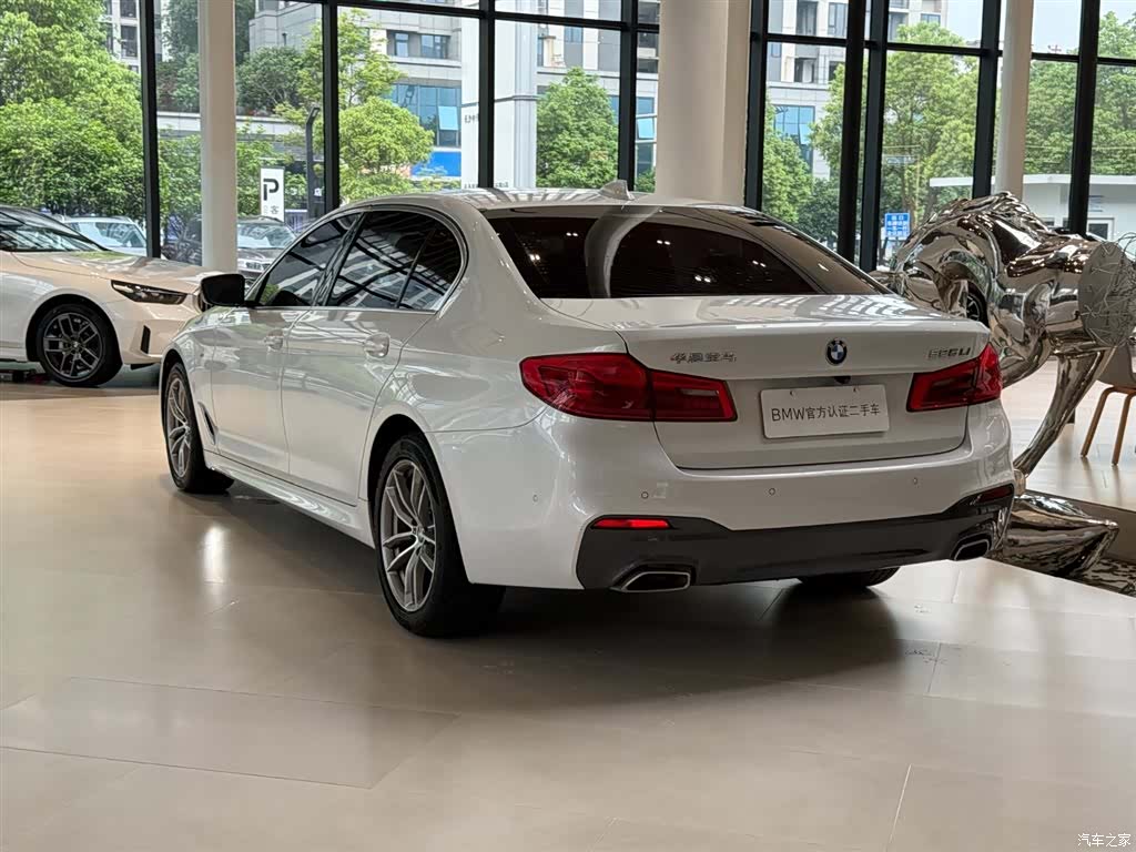 BMW 5 Series, 2020 11