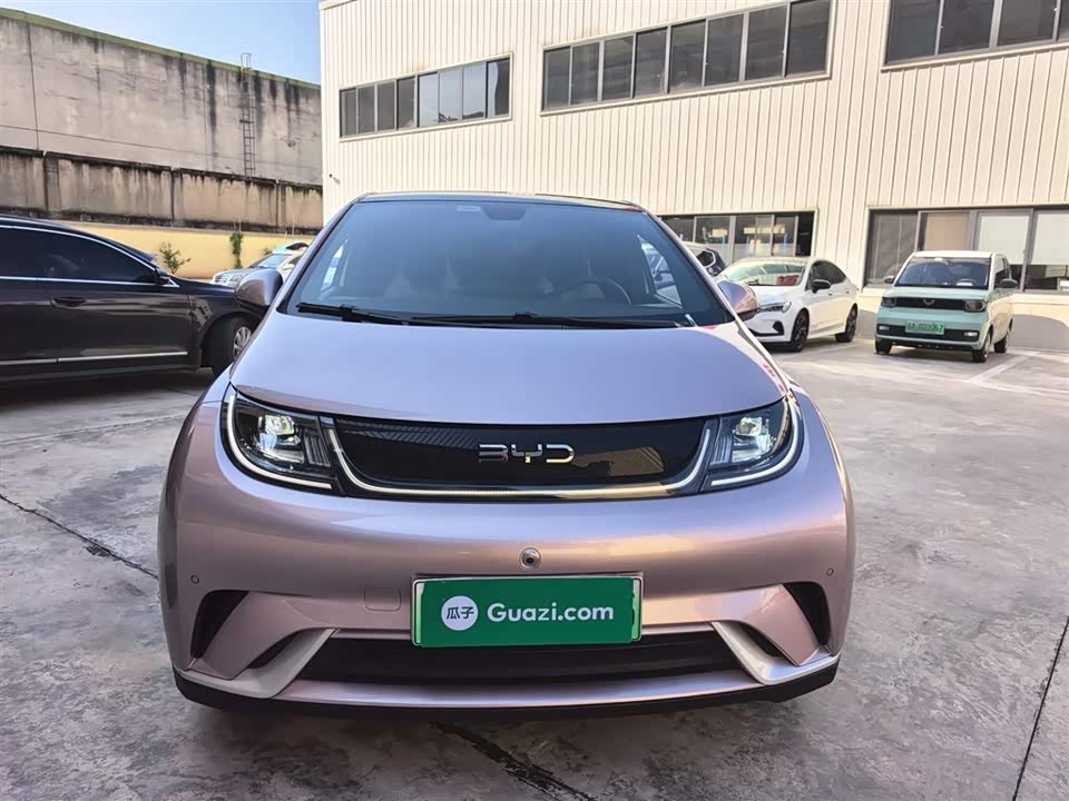 BYD dolphin