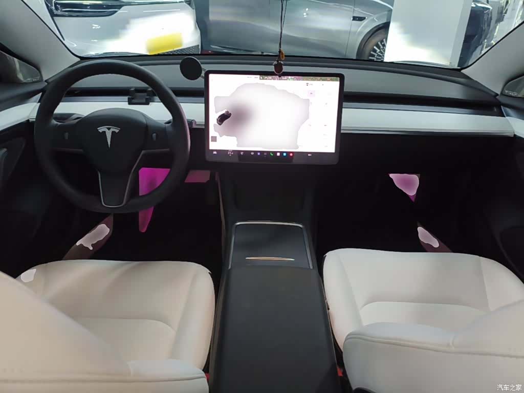Tesla Model 3, 2021 10