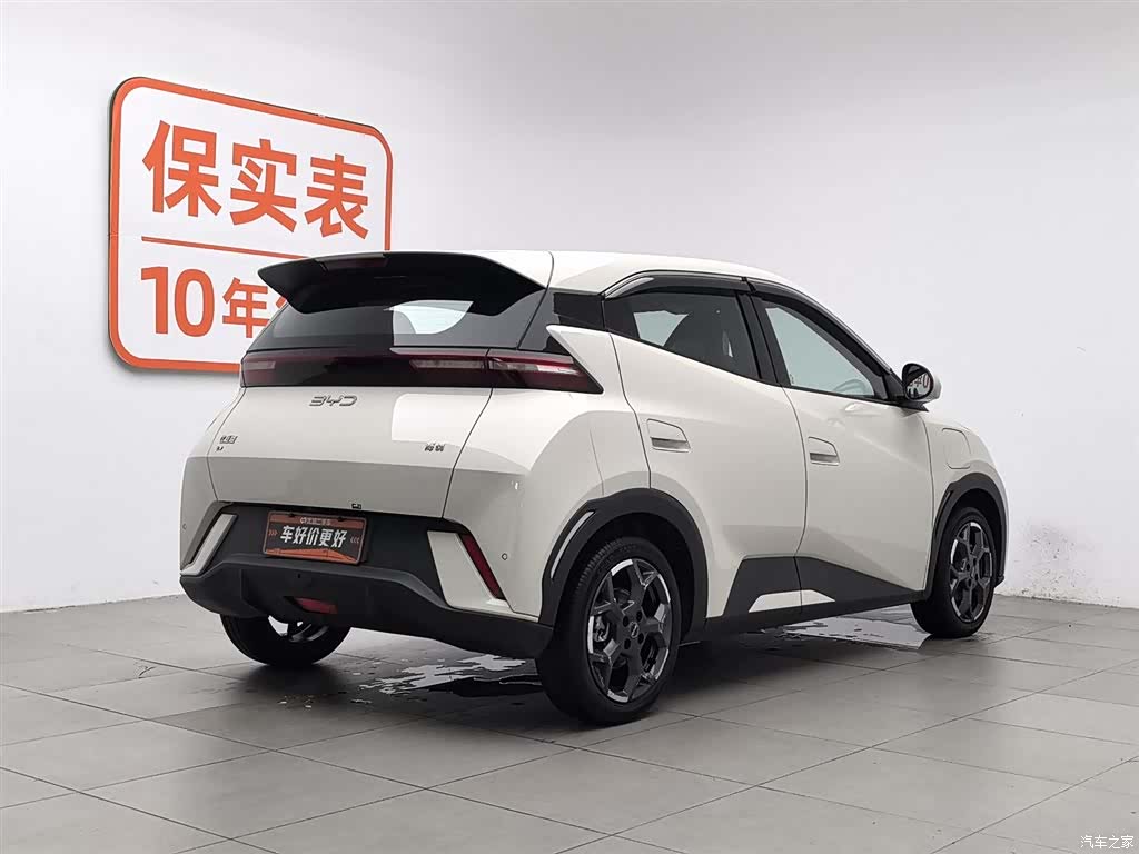 BYD Seagull, 2024 2