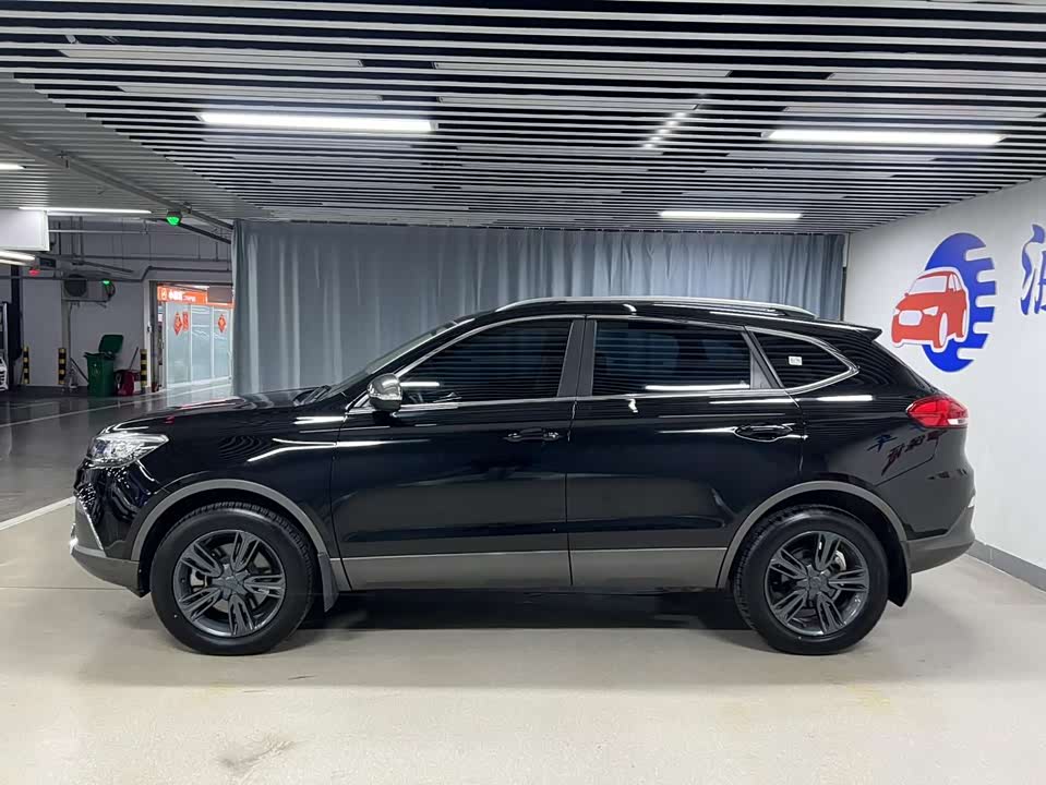 Leopaard Cheetah CS10