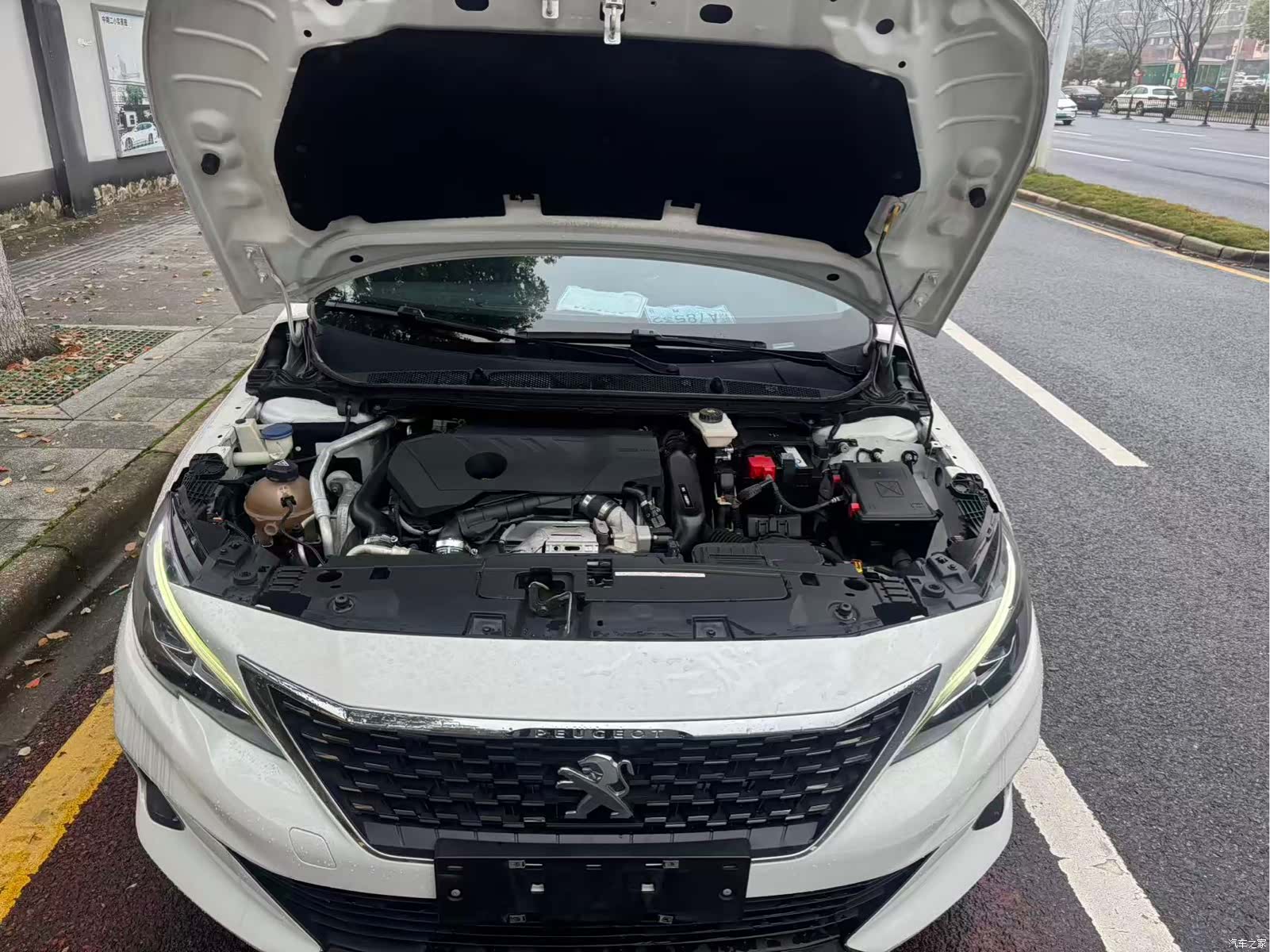 Peugeot 408, 2021 16