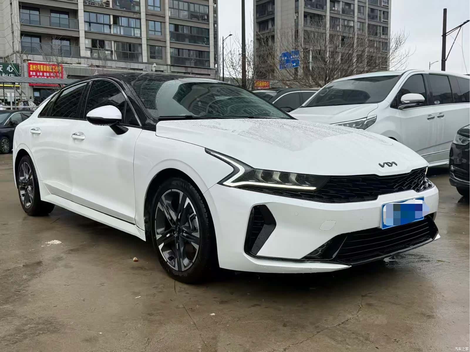 Kia K5, 2022 3