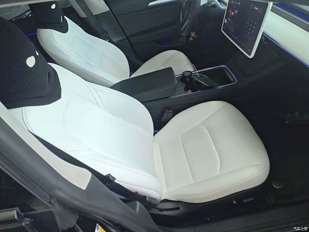 Tesla Model 3, 2021 25