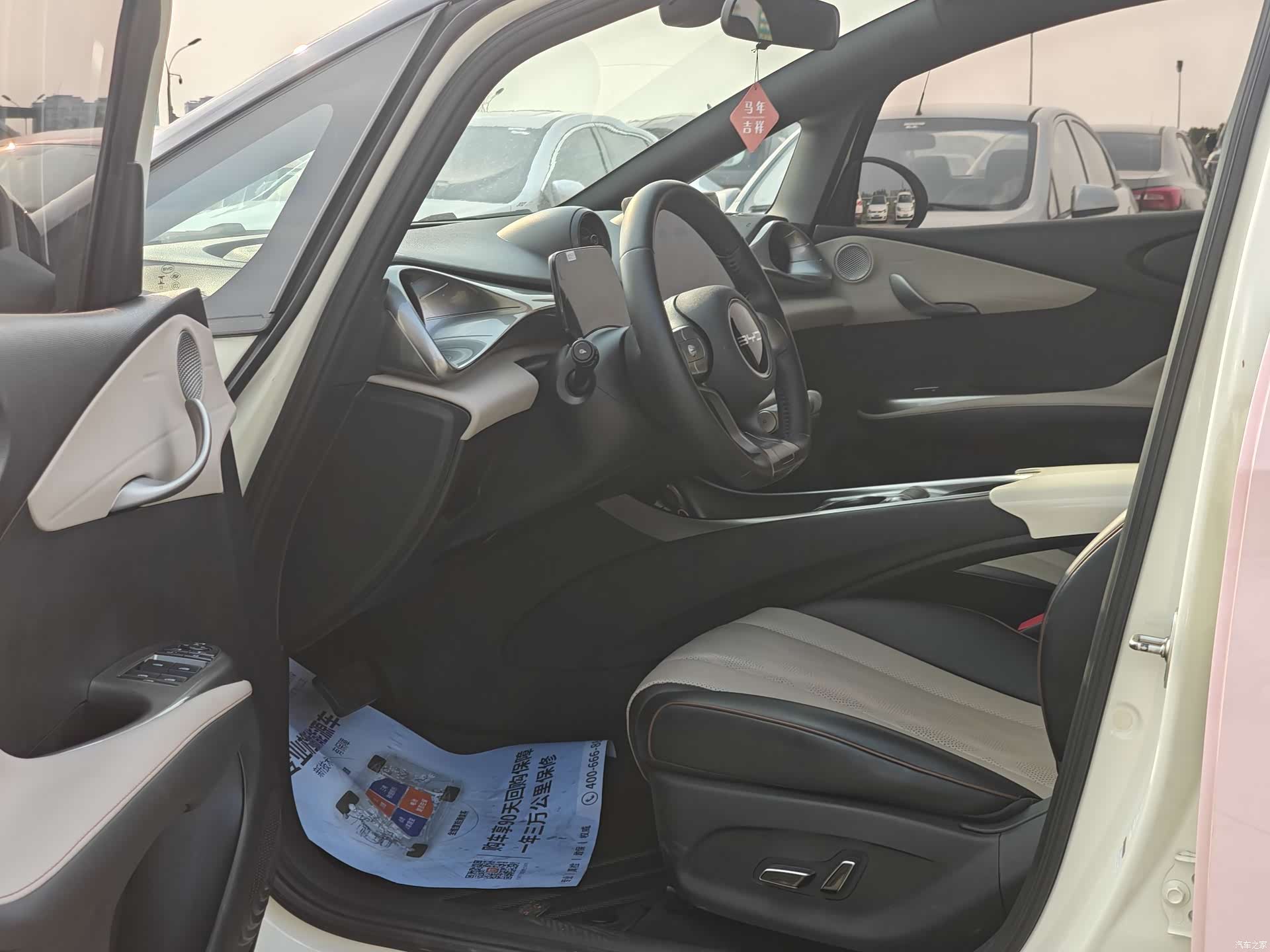 BYD Dolphin, 2024 13