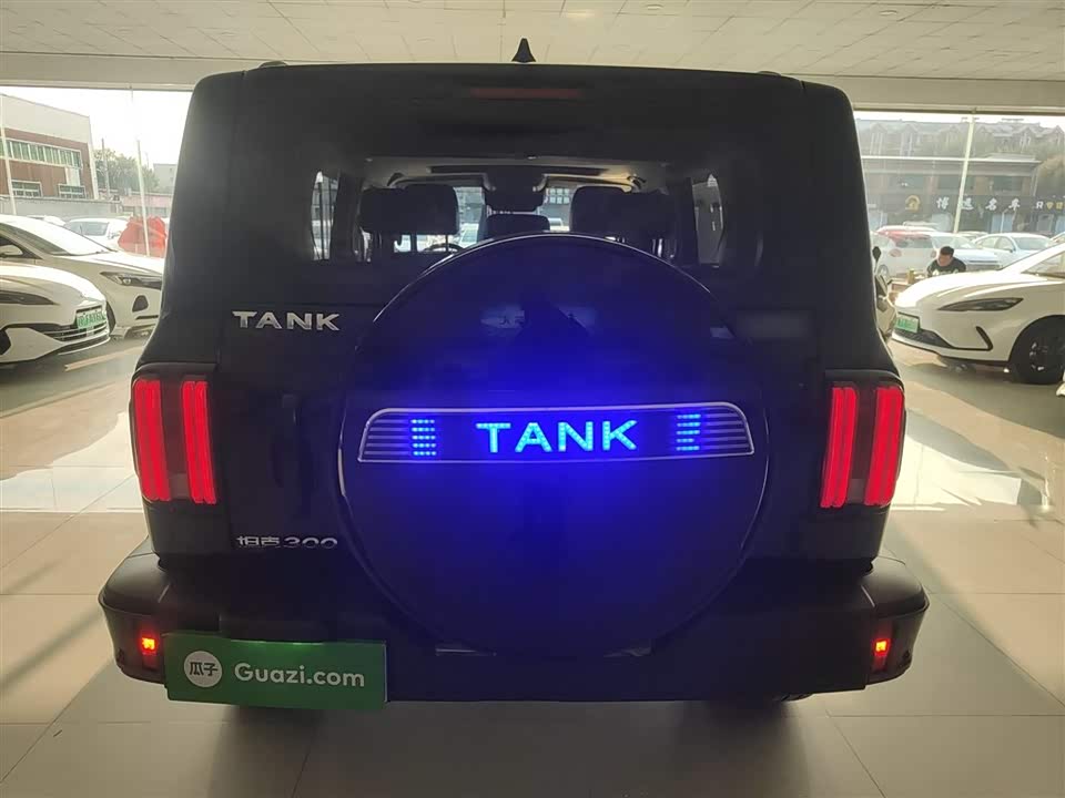 Tank 300