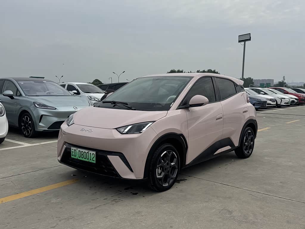 BYD Seagull